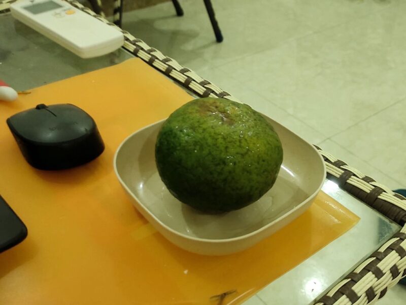 Зеленые апельсины