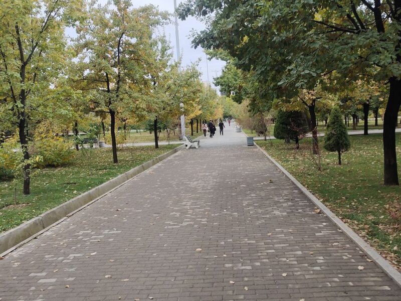 Парк Magic City