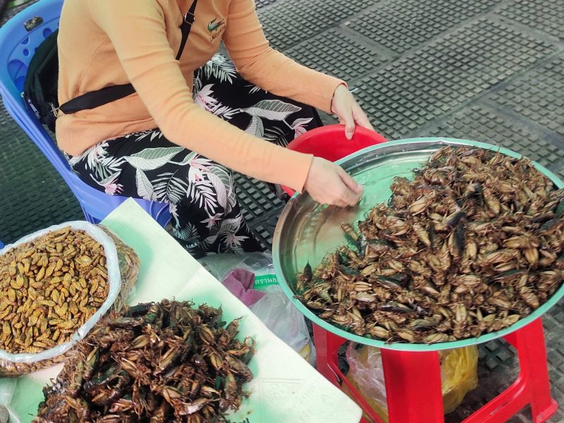 Торговля жареными насекомыми на Центральном рынке в Пномпене