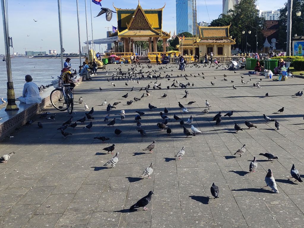 Пномпень: город, где голуби – главные VIP-персоны набережной