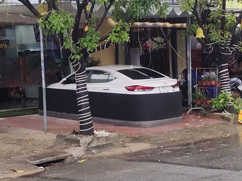 Зачем автомобили во Вьетнаме носят "юбки": мода или защита? 🚗🛡️