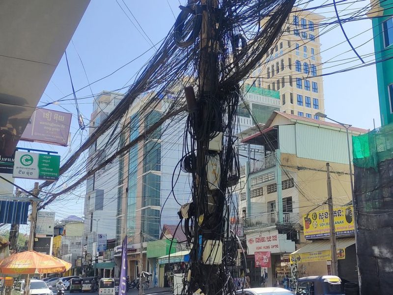 Осторожно, может укусить: Знакомьтесь, главный монстр улиц Пномпеня