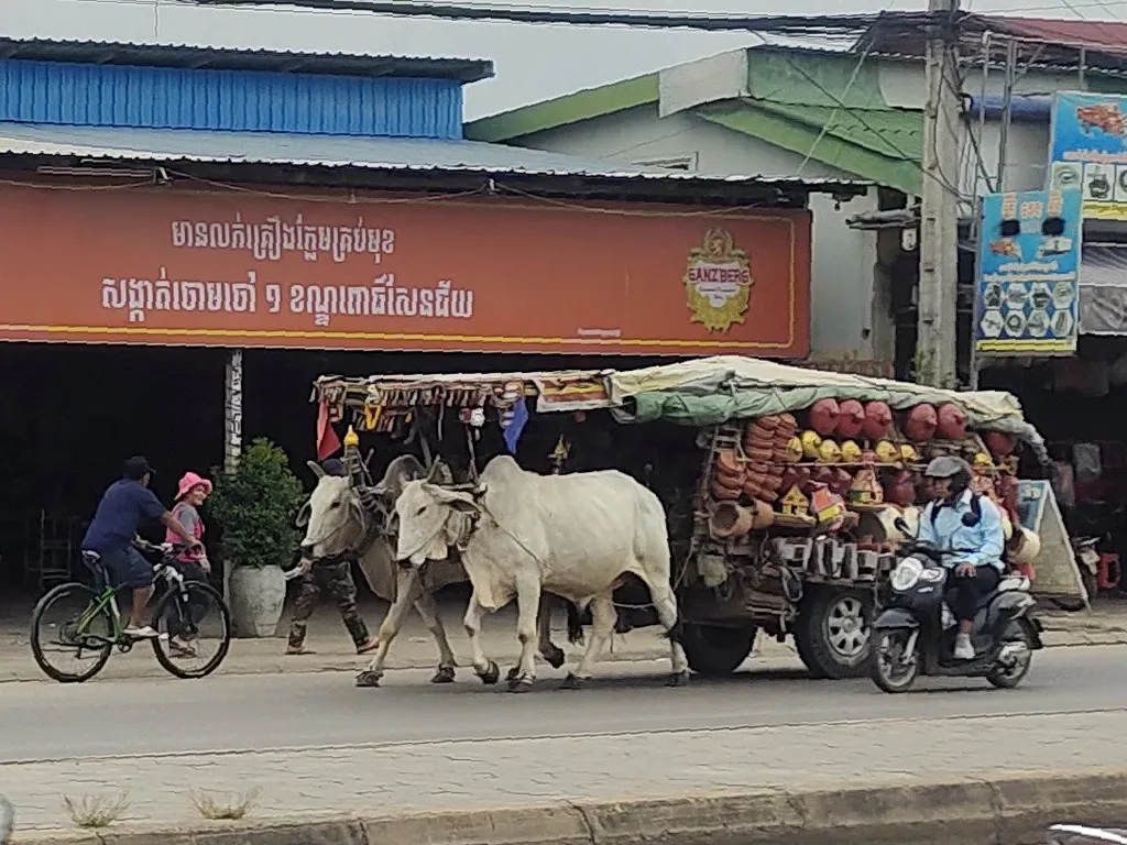 Две воловьи силы: Самый медленный магазин в Пномпене